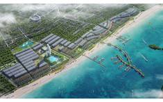 “Sóng” đất nền Cẩm Phả cập bến Hạ Long