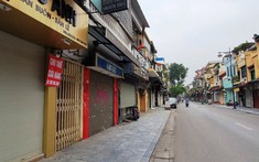 Sức tiêu thụ toàn thị trường tăng vọt và cú bật dậy mạnh mẽ của bất động sản cho thuê