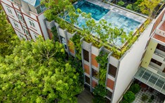 Khám phá kiến trúc khách sạn xanh mướt ngay sát biển Mỹ Khê