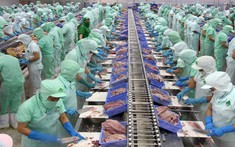 Chỉ thị một số nhiệm vụ, giải pháp phát triển công nghiệp chế biến nông lâm thủy sản
