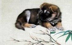 Cách chọn hướng giường ngủ cho tuổi Canh Tuất chuẩn phong thủy nhất