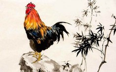 Bật mí cách chọn hướng giường ngủ tuổi Kỷ Dậu chuẩn phong thủy