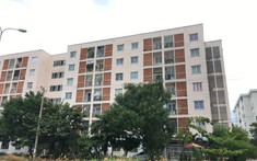 Đà Nẵng: 1/3 số nhà ở xã hội được sử dụng không đúng mục đích