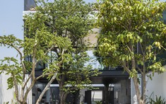 Văn phòng xanh khơi nguồn cảm hứng bất tận cho công việc sáng tạo