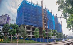 Nhà đầu tư có dễ hốt bạc với kênh đầu tư mới?