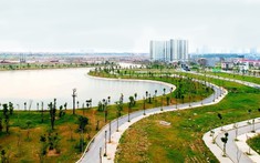 Làm sao để biết đất có vướng tranh chấp, thuộc diện quy hoạch hay không?