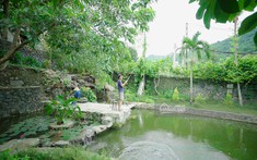 Rời ồn ào phố thị, tìm khoảng trời bình yên trong căn nhà đá bên đồi