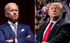 Biden dẫn trước Trump tới 15 điểm trong cuộc thăm dò trên cả nước