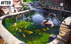 20 ý tưởng cải tạo sân vườn sẽ khiến bạn muốn ra ngoài và bắt tay làm luôn
