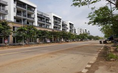 Những điều bạn chưa biết về thị trường đất nền dự án Vĩnh Yên
