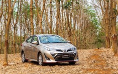 Doanh số tháng 6 của Toyota Việt Nam không như mong đợi, “ngậm ngùi” đứng sau TC Motor với sự đi xuống của Toyota Vios