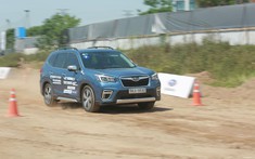 Phản hồi chính thức của hãng về hiện tượng xe Subaru xuất hiện “cá vàng”