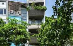 Nhà phố Hà Nội với bồn cây bê tông "vát ngược vát xuôi - khối ra khối vào"