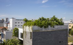 Nhà Thắng - ngôi nhà cho cây xanh ở Đà Nẵng
