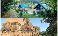 Thủ tướng yêu cầu xử lý một số thông tin báo nêu