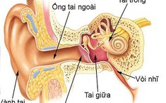 Trẻ hay bị viêm tai giữa, phải làm sao?