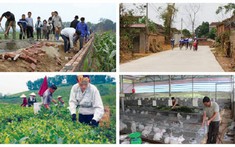 Nông thôn mới ở Thái Nguyên: Thành quả và triển vọng