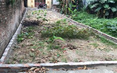 9x nhân 4 lần vốn sau hơn 1 năm đầu tư bất động sản