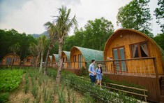 Farmstay là gì? Cơ hội và thách thức khi đầu tư dự án farmstay?