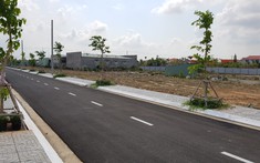Bà Rịa - Vũng Tàu: Giải phóng mặt bằng khó khăn do hình thành 3 mặt bằng giá đất