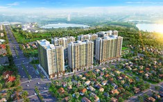Căn hộ vùng giáp ranh Đông Sài Gòn được săn đón