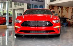 Ford Mustang High Performance đầu tiên về Việt Nam với động cơ EcoBoost mạnh mẽ