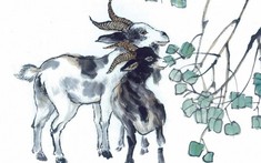 Hướng đặt bàn làm việc tuổi Tân Mùi giúp bạn “công thành danh toại”
