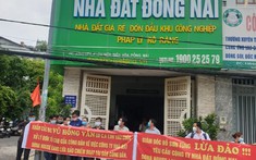 Đồng Nai: Thêm một giám đốc vẽ dự án "ma" bị bắt tạm giam