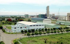 Giảm tiền thuê đất cho các đối tượng bị ảnh hưởng bởi dịch COVID-19
