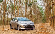 Gần 3.000 xe giao trong tháng 7 nhưng một mình Toyota Vios vẫn không thể kéo doanh số Toyota Việt Nam bứt phá