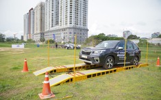 Hãng chính thức có giải pháp khắc phục hiện tượng “cá vàng” trên Subaru Forester