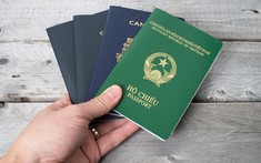 Cán bộ, đảng viên có 2 quốc tịch là vi phạm pháp luật