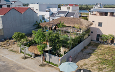 Ngôi nhà mái tranh trong lòng phố thị