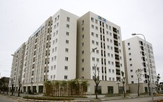 HoREA kiến nghị xây dựng tiêu chí đấu thầu lựa chọn chủ đầu tư dự án nhà ở xã hội