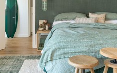 Vì sao nên trang trí nhà với màu xanh lá?