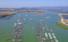 Quảng Ninh có thêm khu kinh tế ven biển quy mô hơn 13.000 ha