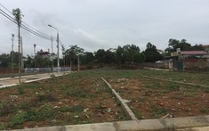 Covid-19 tái phát, giới đầu tư vào cuộc “bắt đáy” thị trường?