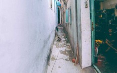 Ít tiền mua nhà hẻm nhỏ: Vừa ở vừa thấp thỏm lo âu