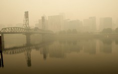 Thời buổi ô nhiễm, không khí sạch thành tiện nghi xa xỉ giúp nhà dễ bán