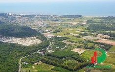 Phân khúc đất nền biệt thự nghỉ dưỡng ven rừng Hồ Tràm thu hút giới đầu tư