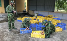 Đối tượng người nước ngoài và gần 7.000 con gà giống nhập lậu