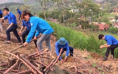 Huyện đoàn Phù Yên tổ chức các đội trí thức trẻ tình nguyện xây dựng nông thôn mới