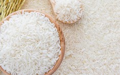 Quy định chứng nhận chủng loại gạo thơm xuất khẩu sang EU
