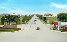 Thu hồi gần 346 ha đất trồng cao su ở Bình Dương để làm khu công nghiệp