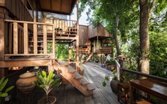 Quần thể "nhà cây" cực ấn tượng ở Thái Lan