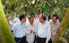 Thủ tướng thăm mô hình nông nghiệp 'trái mùa nghịch vụ' ứng phó hạn mặn