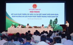 Thủ tướng Nguyễn Xuân Phúc: Mắc ca Việt Nam có thể ‘đi sau, về trước’ để đứng đầu