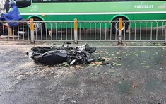 Tp. Hồ Chí Minh: Cây xanh bật gốc trong cơn mưa lớn, đổ trúng xe máy khiến 1 người tử vong
