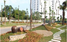 TBCO Riverside: Dự án điển hình nằm trong vùng lõi quy hoạch tại thành phố Thái Nguyên