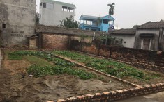 "Bơi theo cá mập”, nhiều nhà đầu tư BĐS “đuối nước" giữa dòng